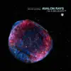 Avalon Rays - I'm a Believer - Single